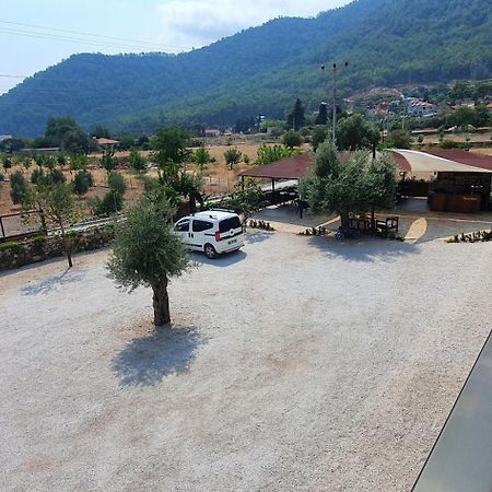 Olive Tree Apart Hotel 穆拉 外观 照片