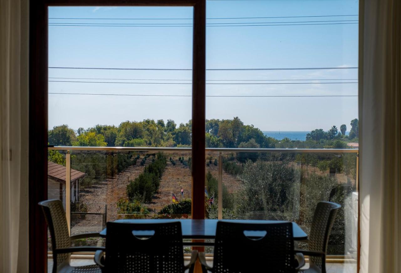 Olive Tree Apart Hotel 穆拉 外观 照片