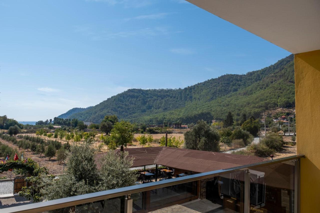 Olive Tree Apart Hotel 穆拉 外观 照片