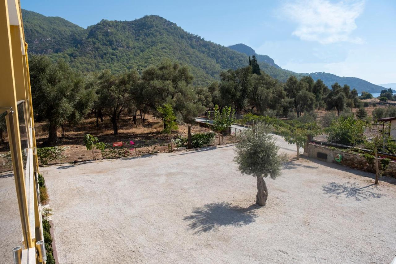 Olive Tree Apart Hotel 穆拉 外观 照片